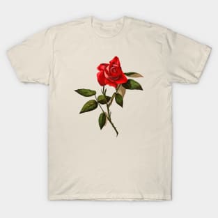 Single Stem Red Rose Isolated Vector Art T-Shirt